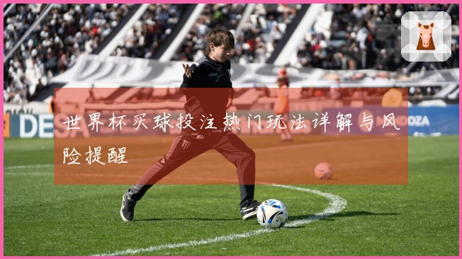 世界杯买球投注热门玩法详解与风险提醒