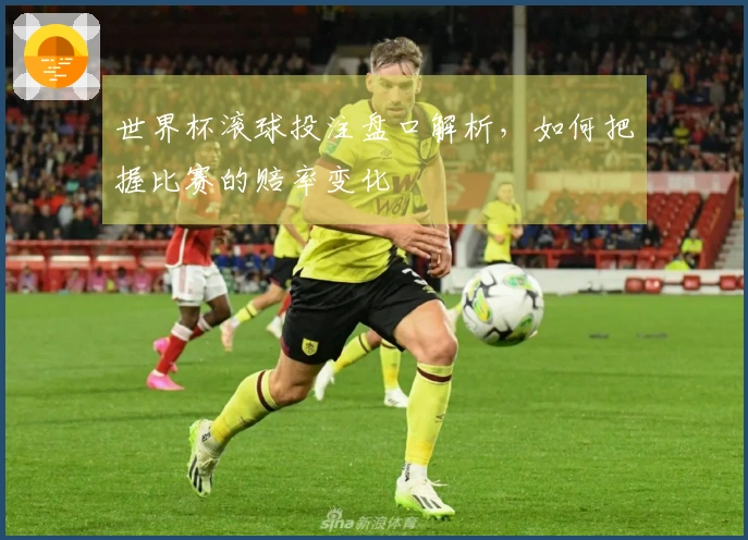 世界杯滚球投注盘口解析，如何把握比赛的赔率变化