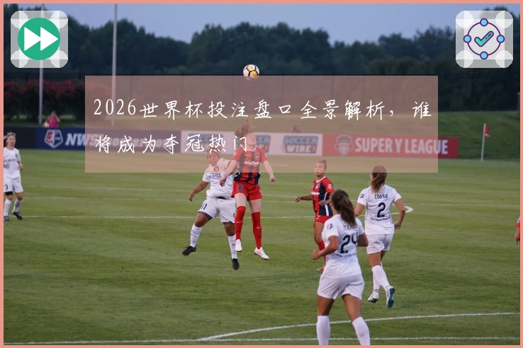 2026世界杯投注盘口全景解析，谁将成为夺冠热门