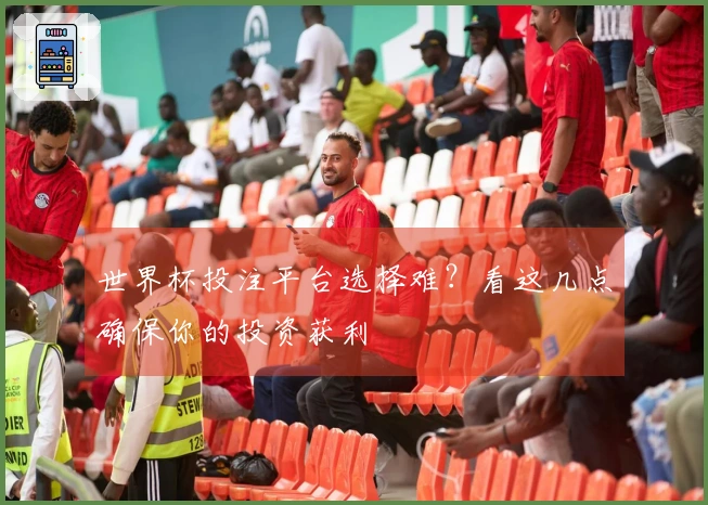 世界杯投注平台选择难？看这几点确保你的投资获利
