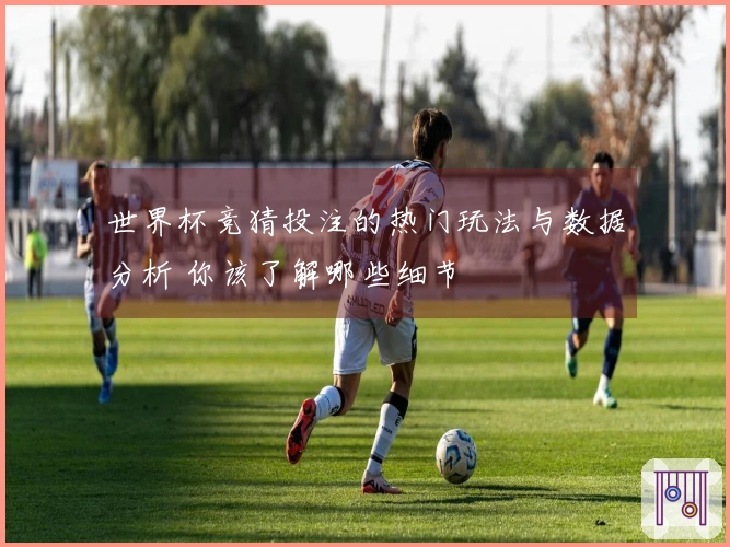 世界杯竞猜投注的热门玩法与数据分析 你该了解哪些细节