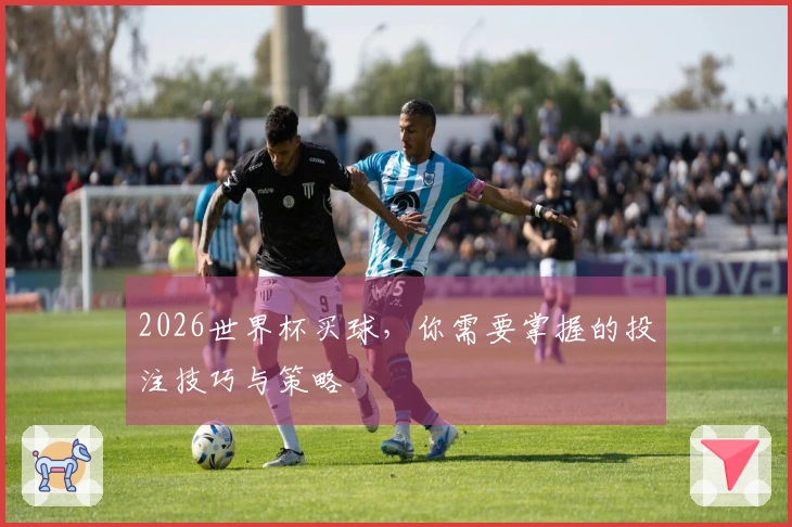 2026世界杯买球，你需要掌握的投注技巧与策略