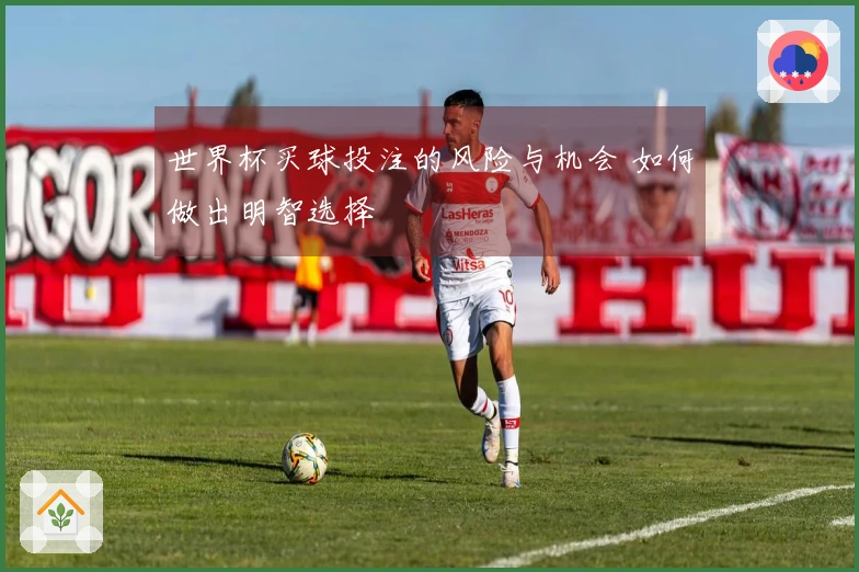 世界杯买球投注的风险与机会 如何做出明智选择