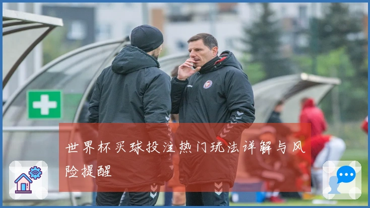 世界杯买球投注热门玩法详解与风险提醒