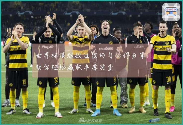 世界杯滚球投注技巧与心得分享，助你轻松赢取丰厚奖金