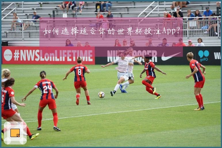 如何选择适合你的世界杯投注App？