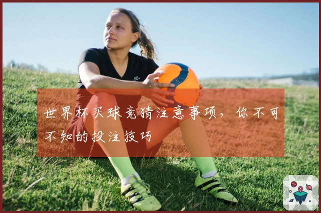 世界杯买球竞猜注意事项，你不可不知的投注技巧