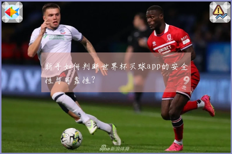 新手如何判断世界杯买球app的安全性与可靠性？