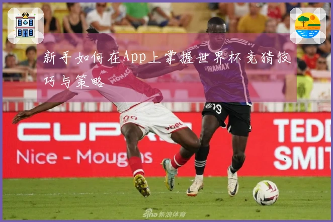 新手如何在App上掌握世界杯竞猜技巧与策略