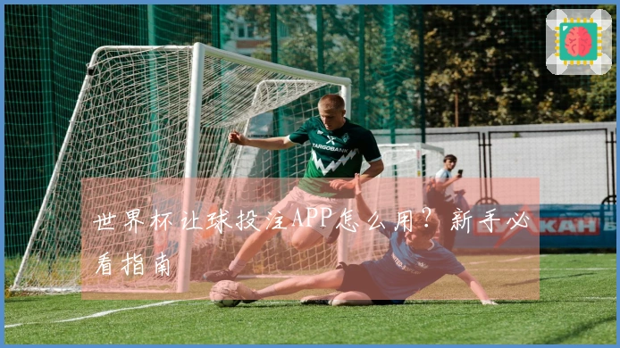 世界杯让球投注APP怎么用？新手必看指南