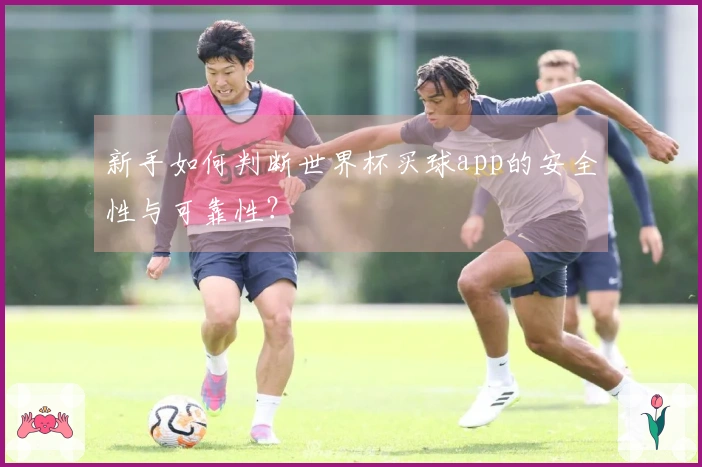 新手如何判断世界杯买球app的安全性与可靠性？