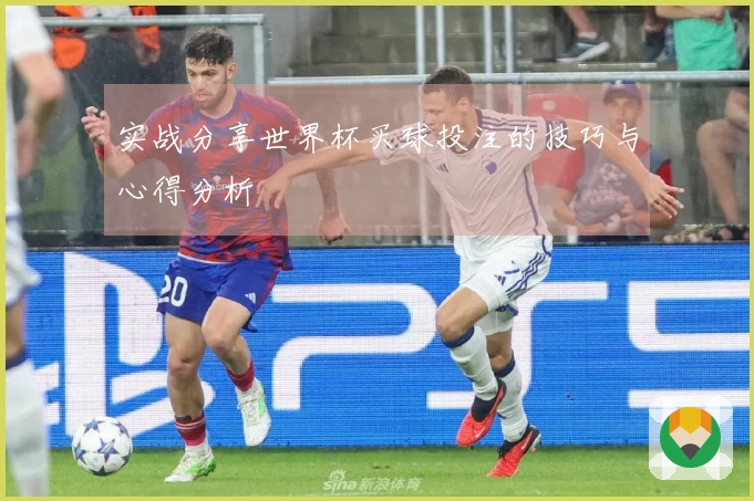 实战分享世界杯买球投注的技巧与心得分析