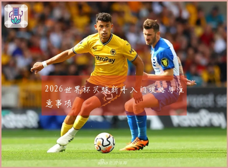 2026世界杯买球新手入门攻略与注意事项