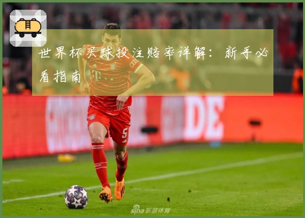 世界杯买球投注赔率详解：新手必看指南