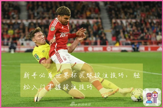 新手必看世界杯买球投注技巧，轻松入门掌握投注技巧