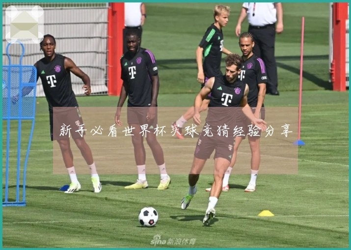 新手必看世界杯买球竞猜经验分享