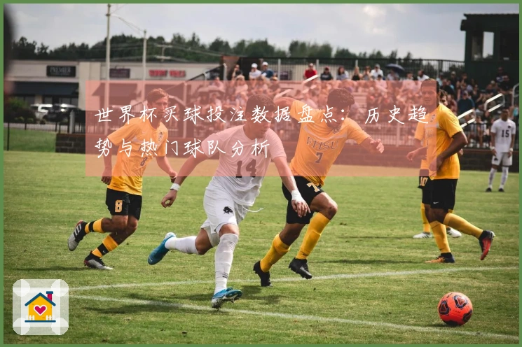 世界杯买球投注数据盘点：历史趋势与热门球队分析