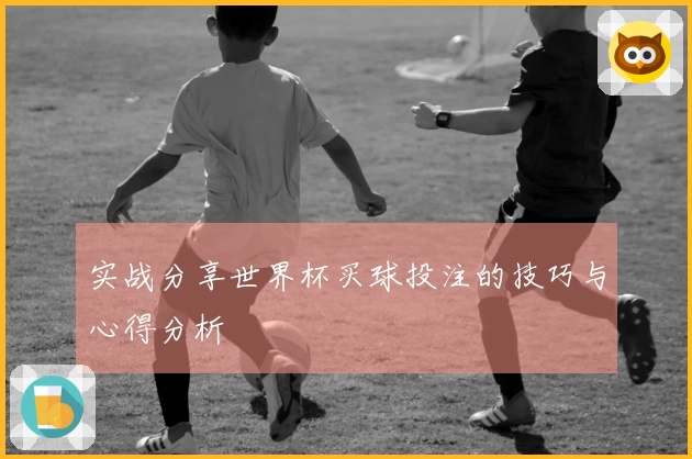 实战分享世界杯买球投注的技巧与心得分析