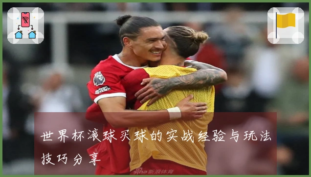 世界杯滚球买球的实战经验与玩法技巧分享